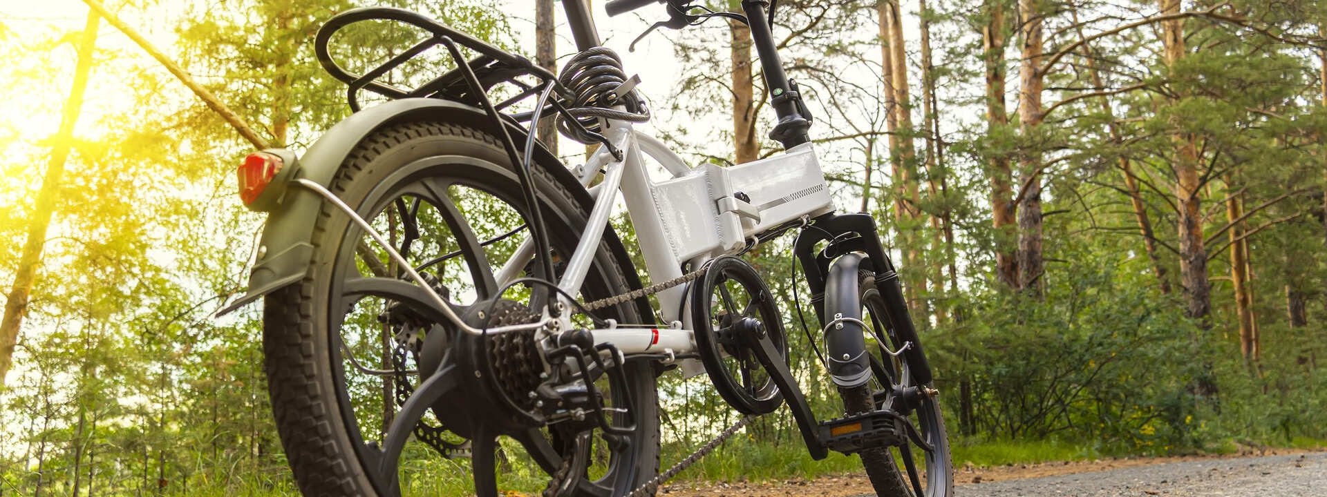 One E-bike with trees in the background