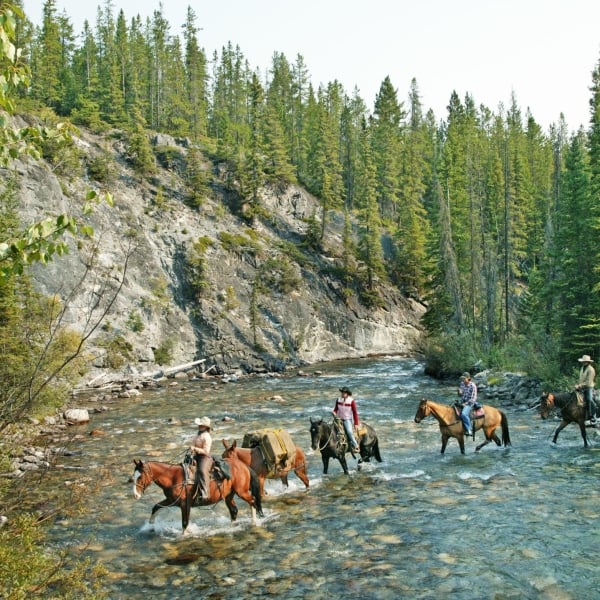 Four people Horseback riding in Banff