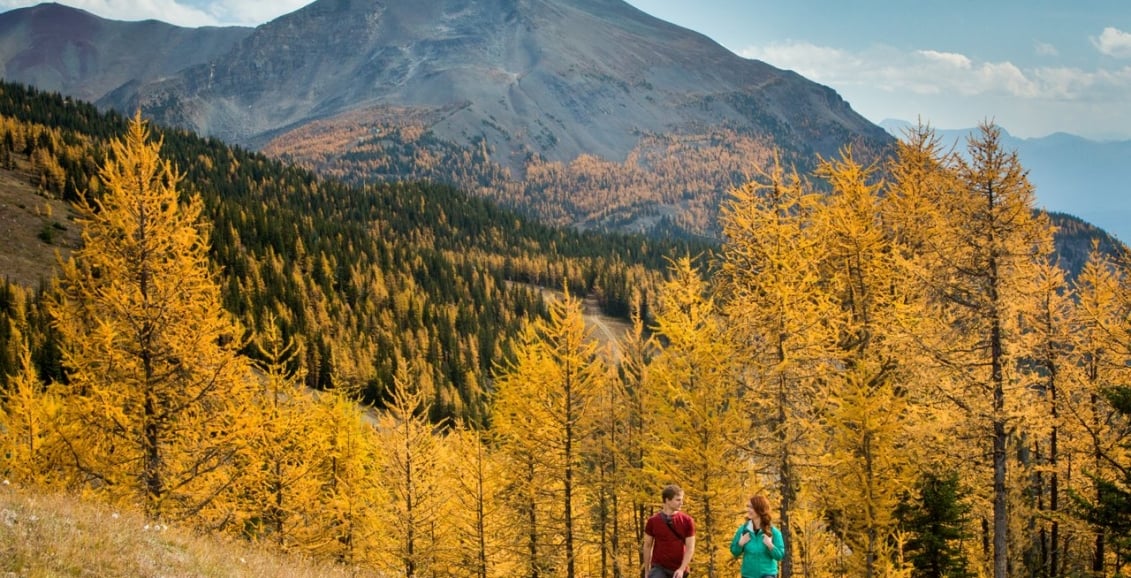 A man and a woman walking outside