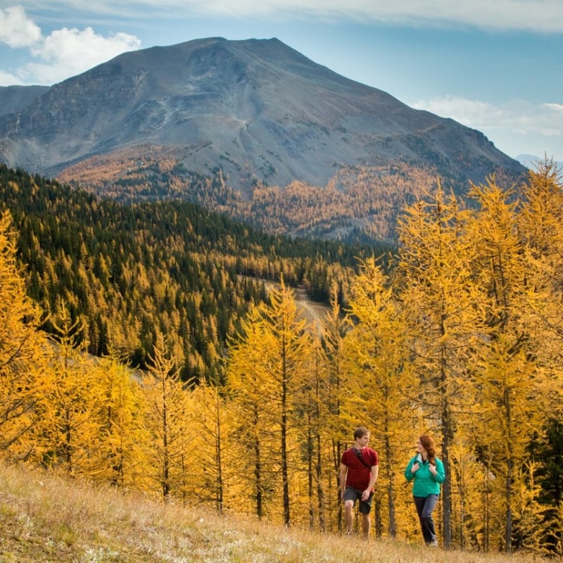 A man and a woman walking outside