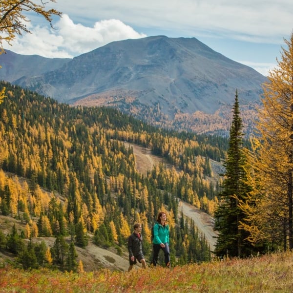 A man and a woman hiking outside