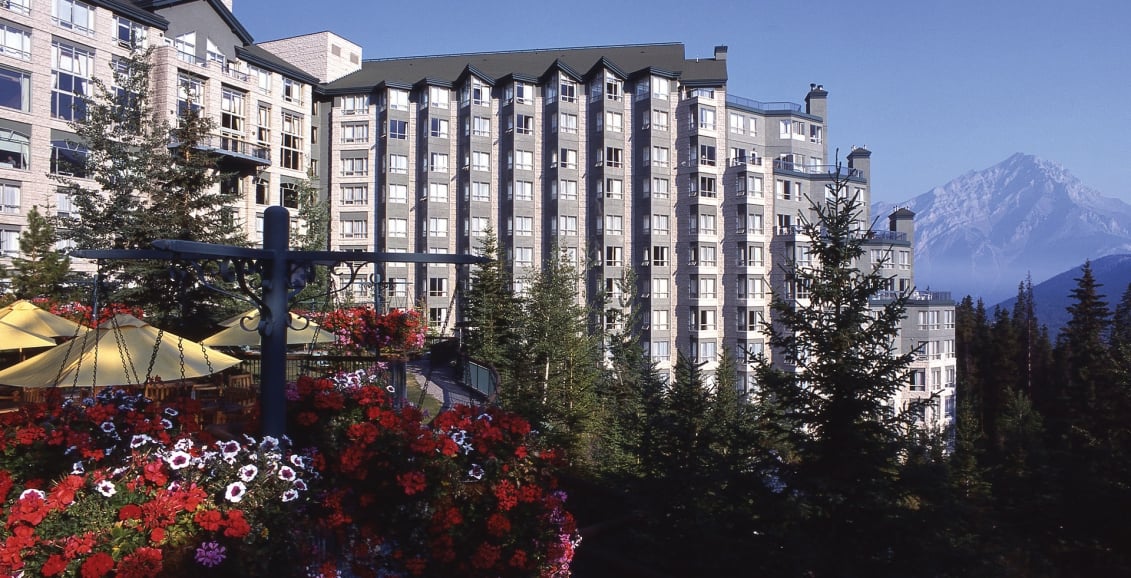 A view of trees and flowers