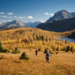 Two people walking in a field