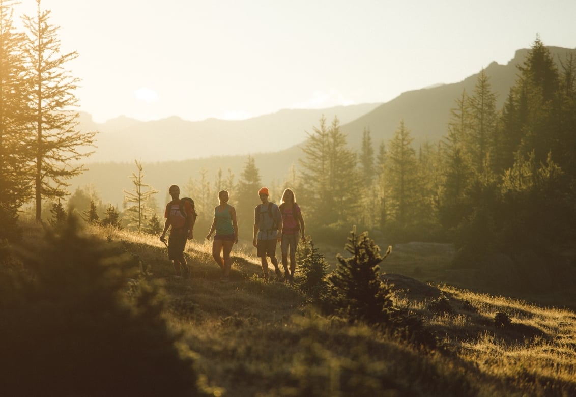 Four people hiking in the woods