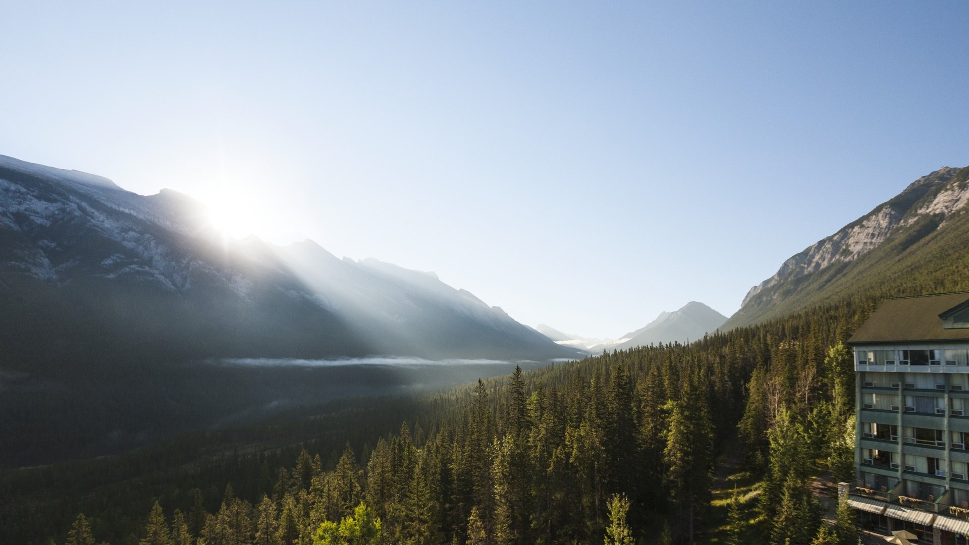 A beautiful view of trees and the mountain