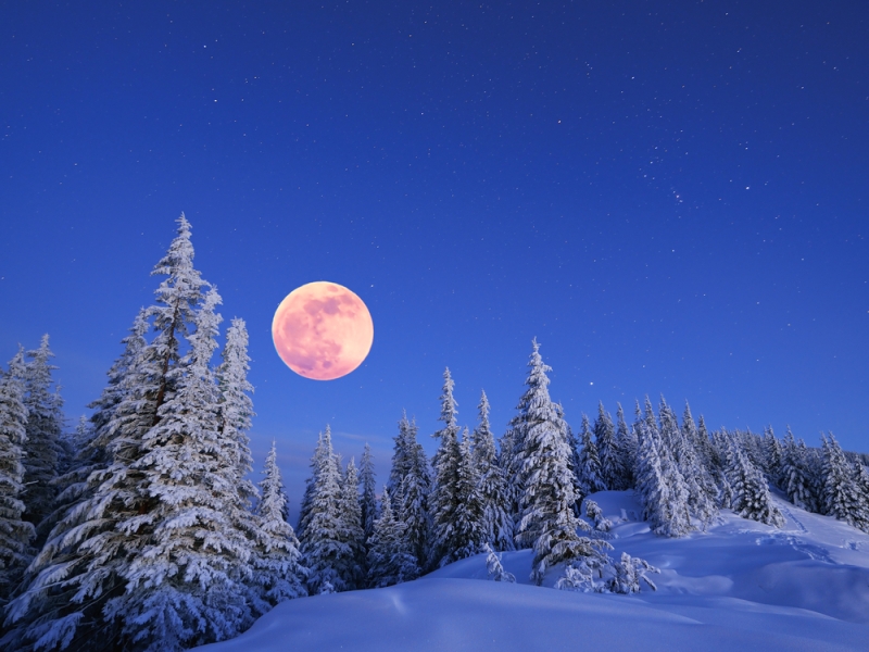 snowy mountains with trees and full moon