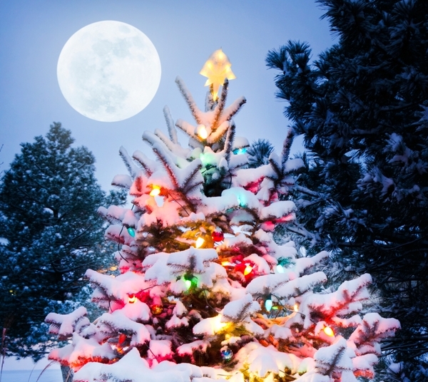 snow Christmas tree with full moon
