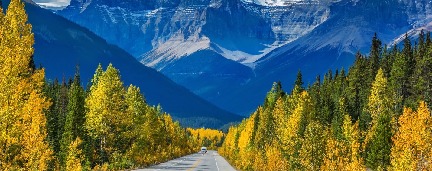scenic drive in banff national park road yellow leaves