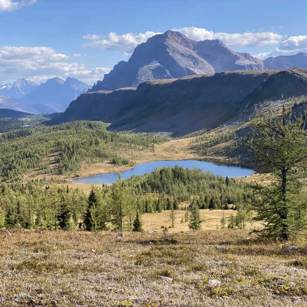 Healy Pass