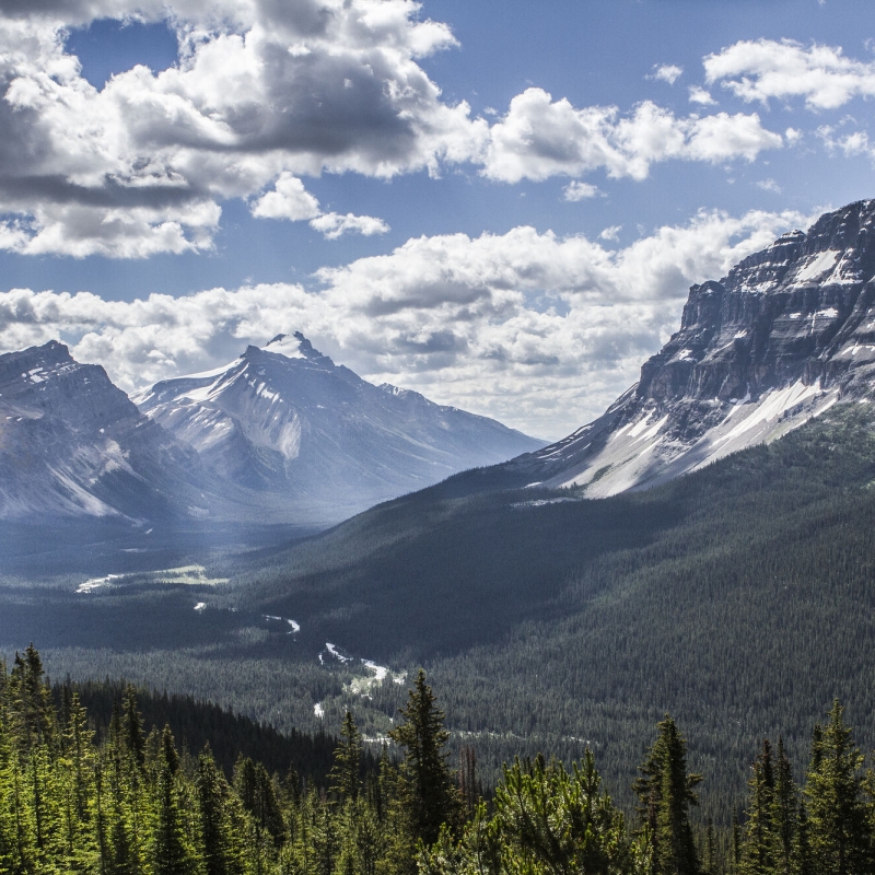 The Bow Valley in Banff National Park