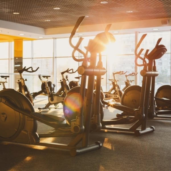 A gym with cardio equipment against the window